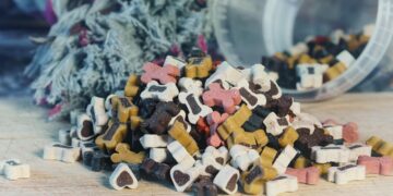 Unlocking the Secrets to the Best Dog Food for Picky Eaters: A Comprehensive Guide