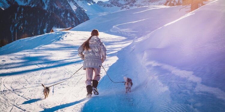 Unbreakable Bonds: Discovering the Best Heavy Duty Dog Leashes