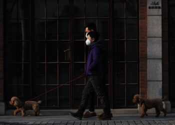 Unleashing Freedom: Exploring the Benefits of Leash-Free Dog Parks