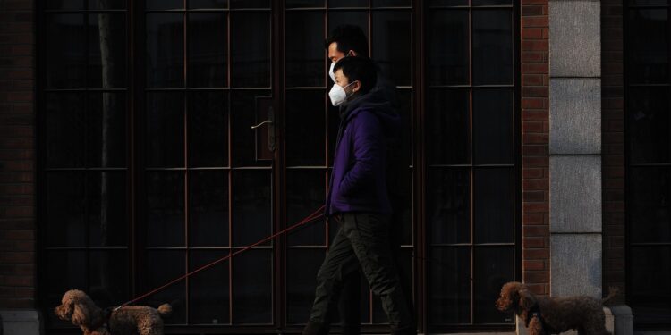 Unleashing Freedom: Exploring the Benefits of Leash-Free Dog Parks