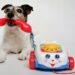 Splash Into Fun: Choosing the Best Dog Water Toys for Your Pup