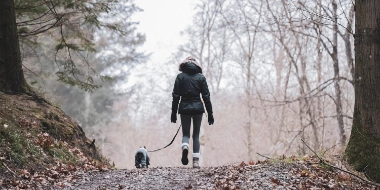 Unleashing Fun: Choosing the Best Dog Bike Leash