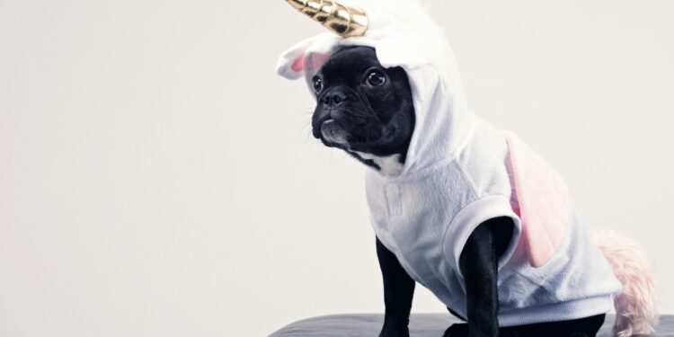 Unveiling Hidden Gems: Best Natural Remedies for Dog Health