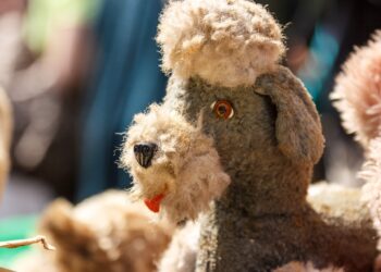 Why Plush Dog Toys Are a Must-Have for Pet Owners
