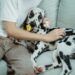 Discover the Fun: Why the Dog Toy Ball in a Ball Is a Must-Have for Your Pup