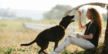 Top Strategies for Managing Dog Behavior Problems: Expert Solutions Revealed