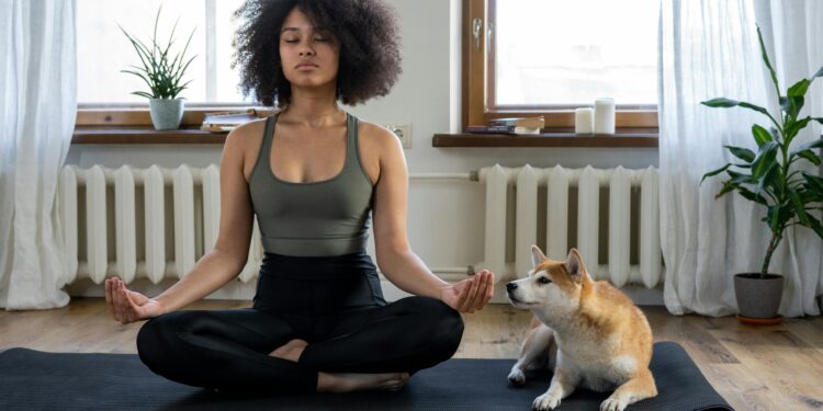 How to Boost Your Dog’s Health with These Essential Tips