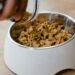 Top Picks for the Best Dog Food for Puppies: What You Need to Know