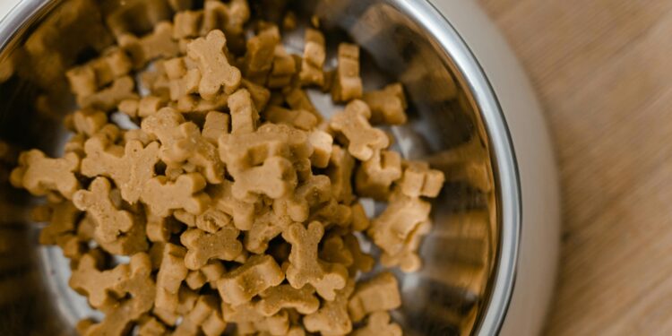 The Best Dog Health Food for Sensitive Stomachs: A Comprehensive Guide