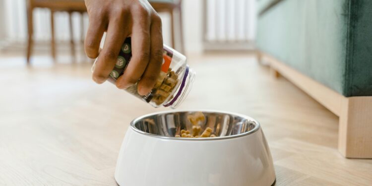 Unlocking the Benefits: How Dog Health Food Enhances Your Pet’s Vitality