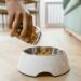 Unlocking the Benefits: How Dog Health Food Enhances Your Pet’s Vitality