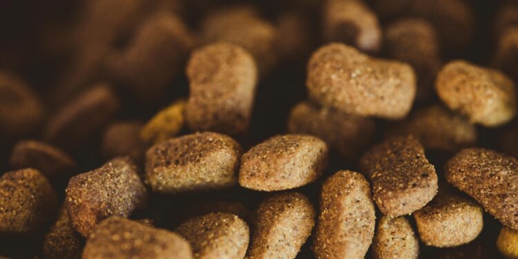 Unlocking Healthy Diets: What Can Dogs Eat Every Day for Optimal Health?