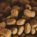 Unlocking Healthy Diets: What Can Dogs Eat Every Day for Optimal Health?