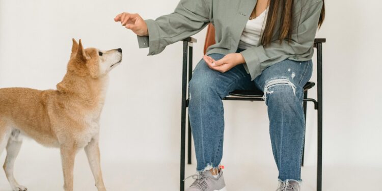 Training Tips: Mastering Dog Behavior Explained Step by Step