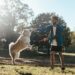 Unlock the Secrets of Dog Aggression Training Near Me: A Comprehensive Guide