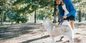 Exploring the Causes Behind Your Dog’s Behavior Change After Vaccination