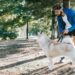 Exploring the Causes Behind Your Dog’s Behavior Change After Vaccination