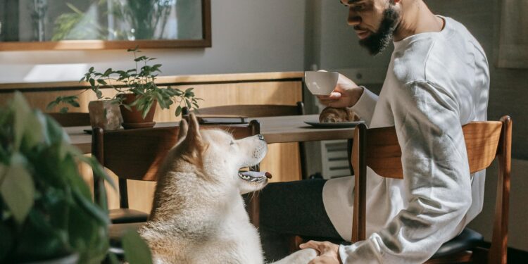 Discover the Best Dog Potty Training Near Me: Tips and Tricks from Experts